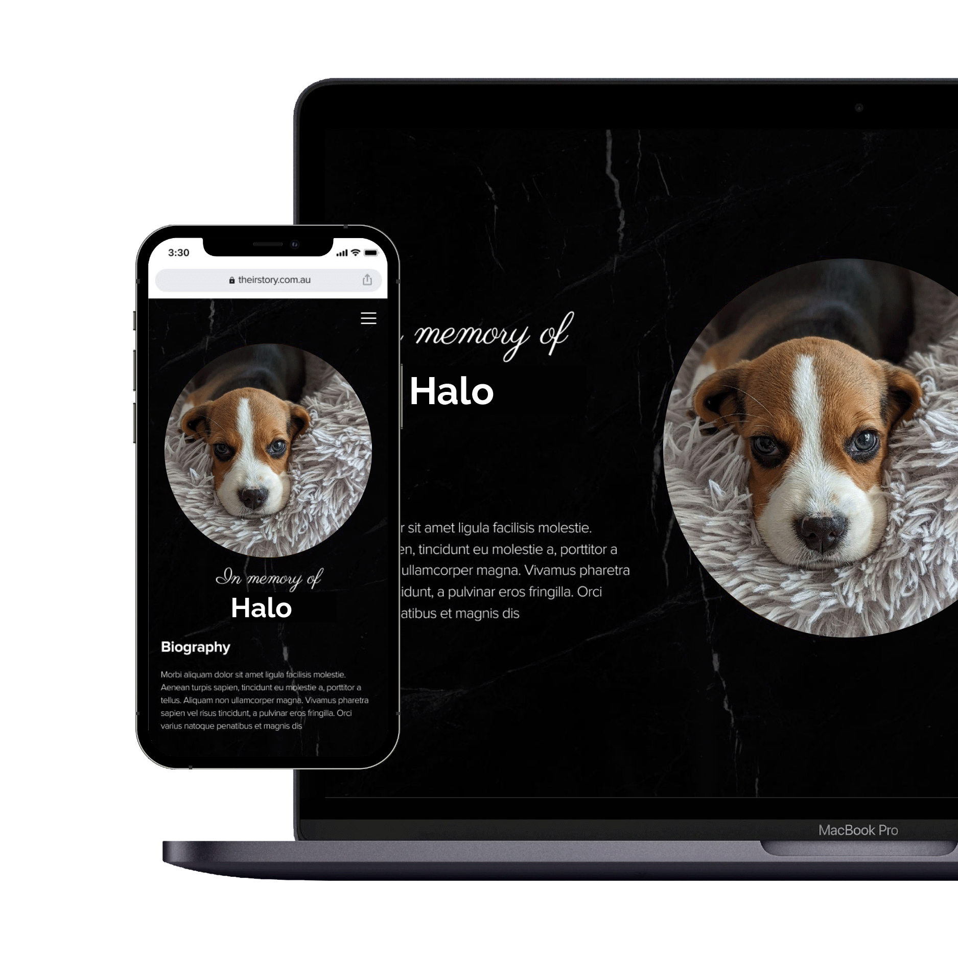 Transparent---Pet-Story-Product-Image